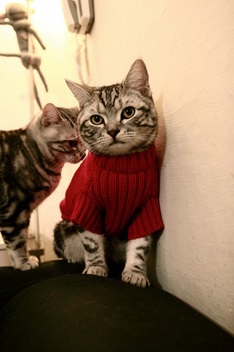 Leyu Sport下载-男队精神面貌积极 每位选手状态在线