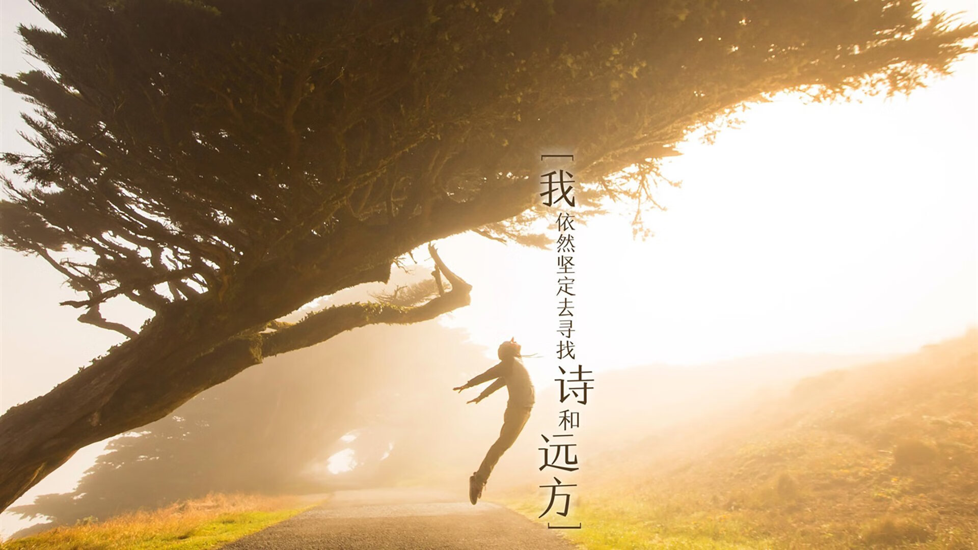 乐鱼电竞· (中国)官方网站-塔特的精准罚球为袋鼠队赢得关键局面，塔特的精准罚球为袋鼠队赢得关键局面