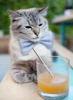 leyu.com-大学生篮球训练大纲标准化建设推动课程质量稳步提升，大学生篮球训练方案