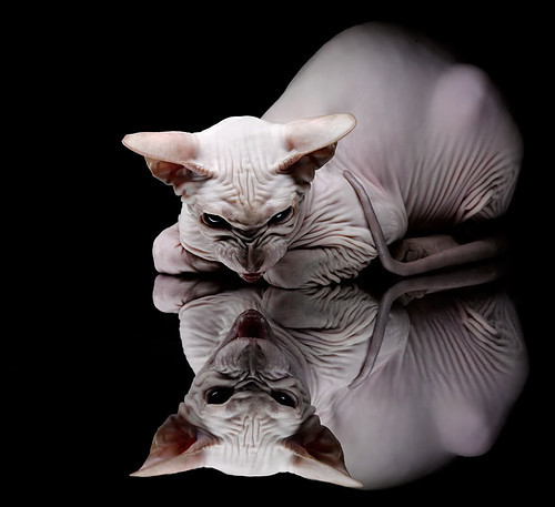 欧洲杯倒数第四秒的传球：精彩托盘让人屏息，欧洲杯传奇