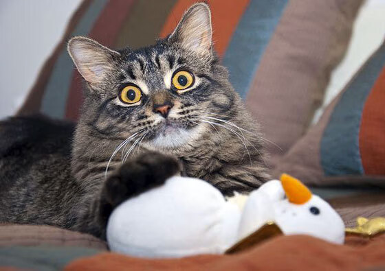 乐鱼体育App下载-职业联赛推行家庭日活动增强球迷多样化参与，举办家庭日活动的注意事项