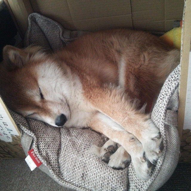 赛事首次启用全息数据播报增强用户参与感与沉浸体验,全息信息