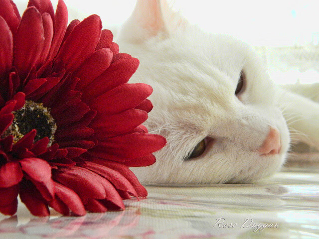 青少年体育培训政策调整,青少年体育培训政策调整方案