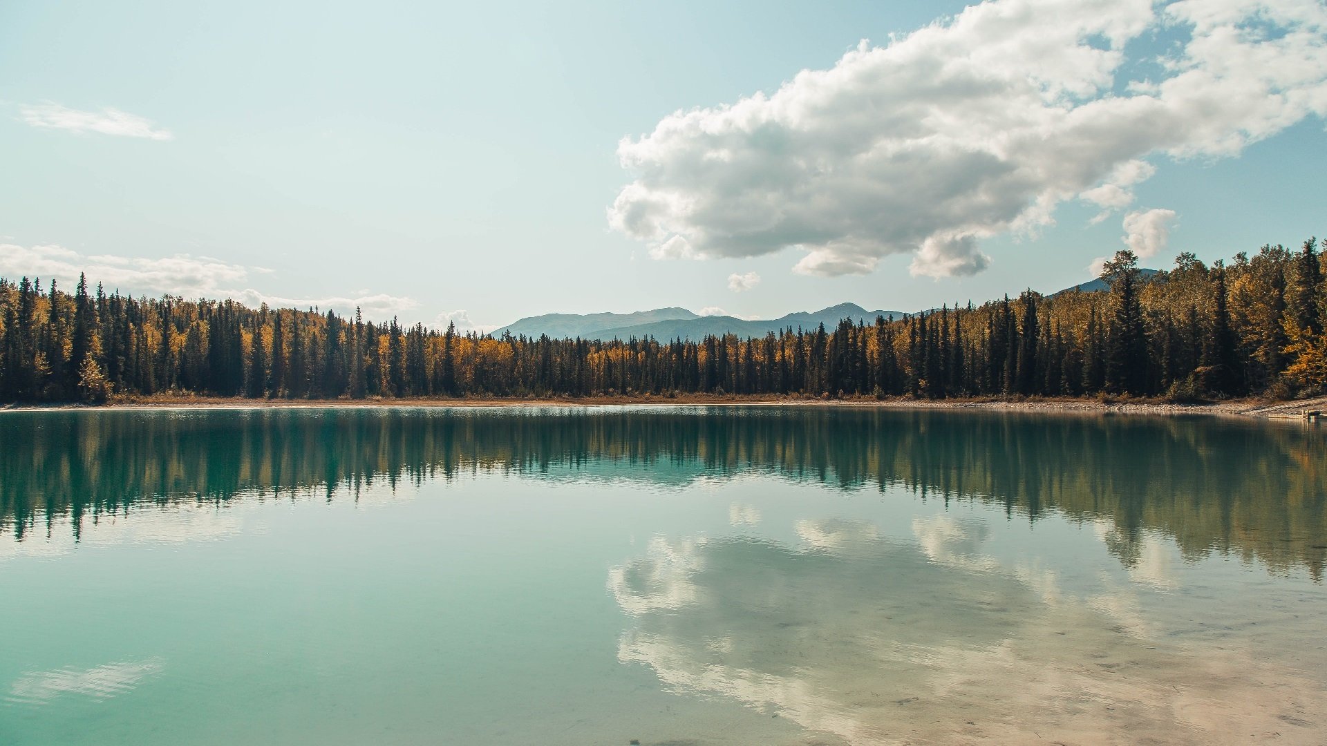 leyu乐鱼在线登录入口-魔术持续控球时间有效减少失误数量，魔术控卫